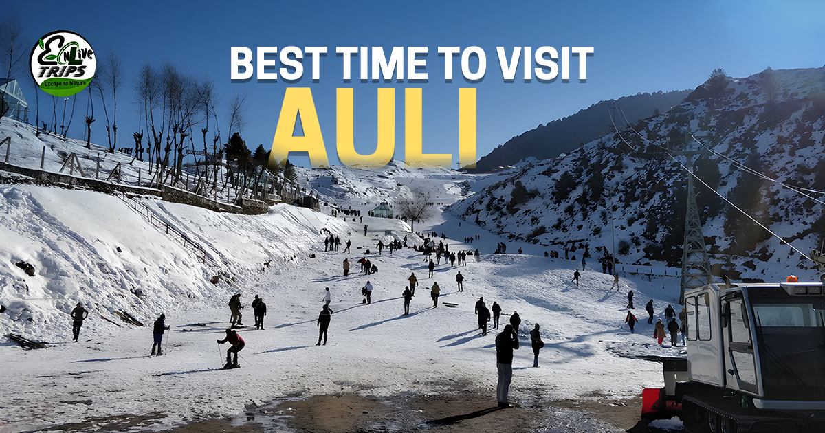 Delhi to Auli tour package